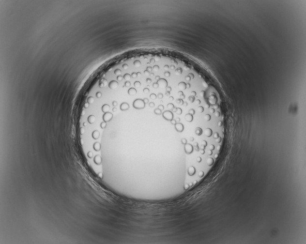 X0000115700927200912031502