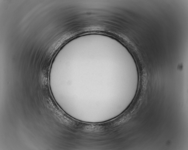 X0000115700929200912031502