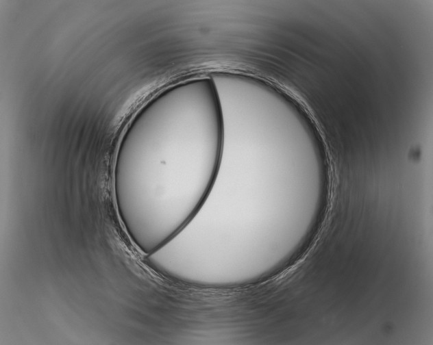 X0000115700930200912031502