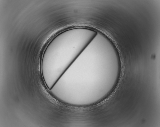 X0000115700934200912031502