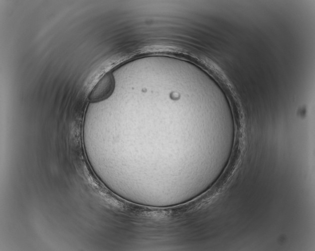 X0000115700937200912031502