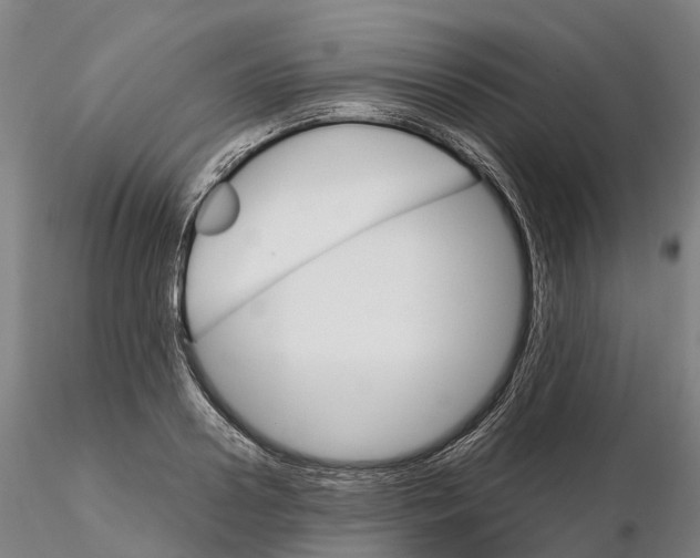 X0000115700938200912031502