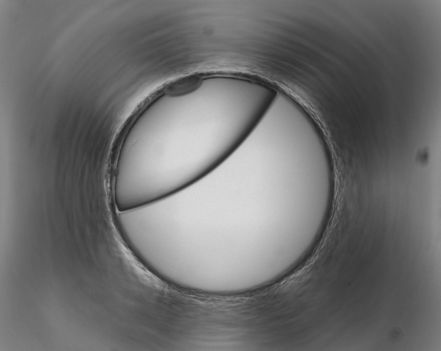 X0000115700942200912031502