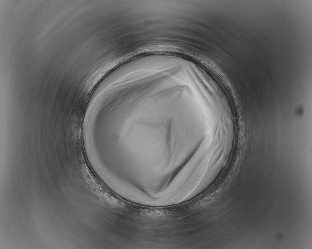 X0000115700945200912031502