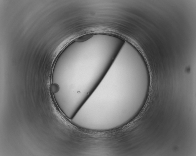 X0000115700946200912031502