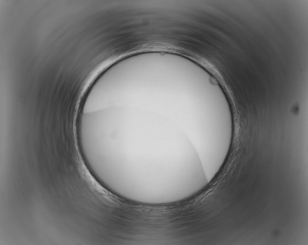 X0000115700947200912031502