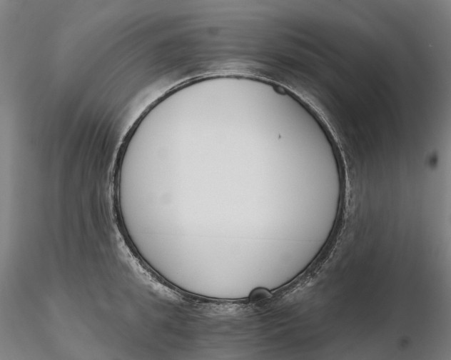 X0000115700949200912031502