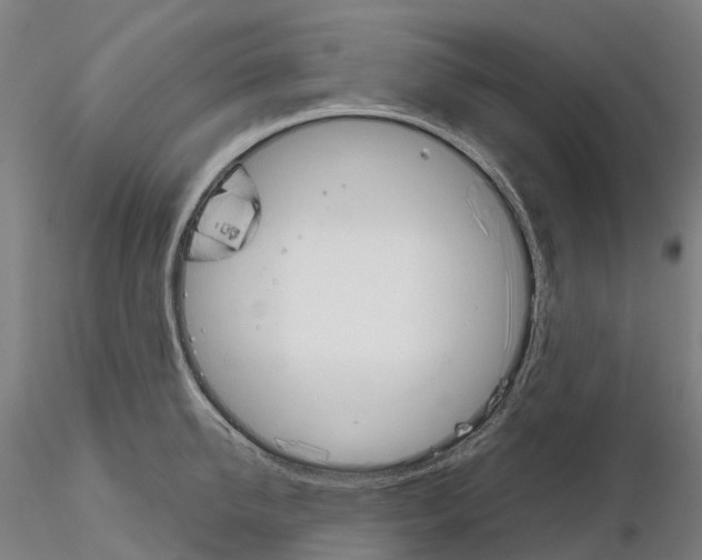 X0000115700950200912031502