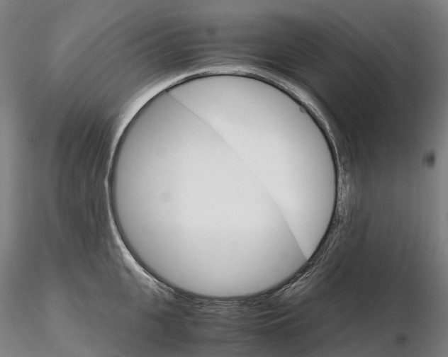 X0000115700951200912031502