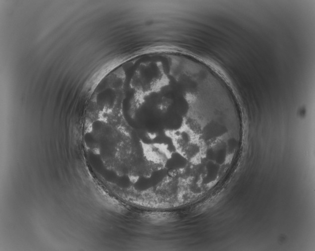 X0000115700953200912031502