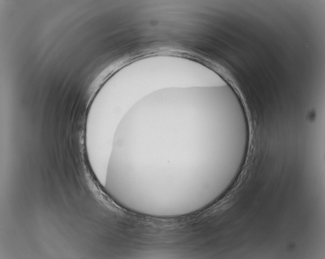 X0000115700954200912031502