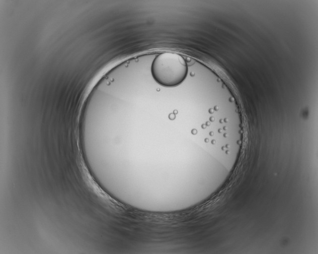 X0000115700955200912031502