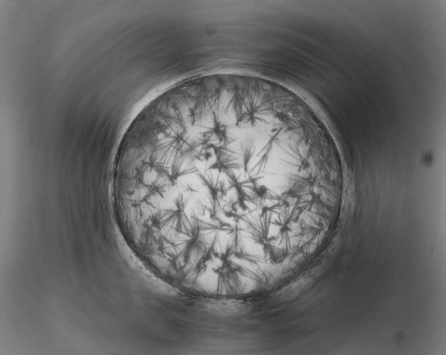 X0000115700957200912031502