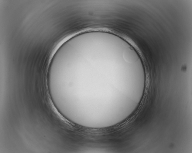 X0000115700959200912031502