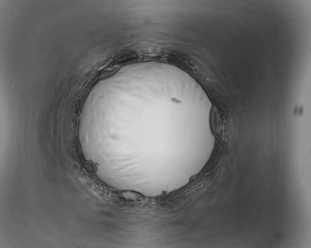 X0000115700961200912031501