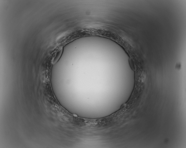 X0000115700965200912031501