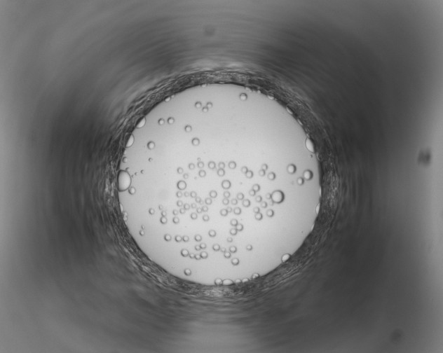 X0000115700966200912031501