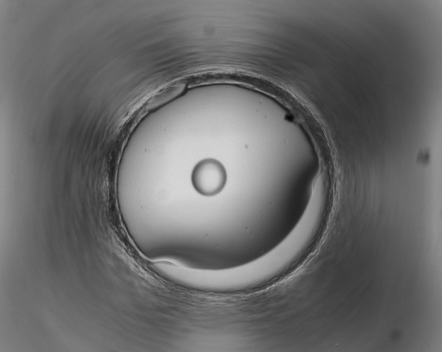 X0000115700969200912031501