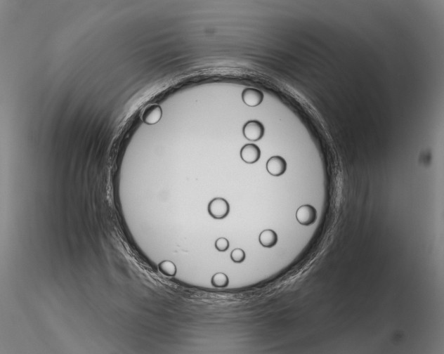 X0000115700970200912031501