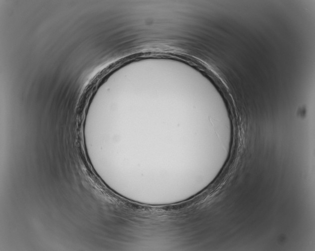 X0000115700971200912031501