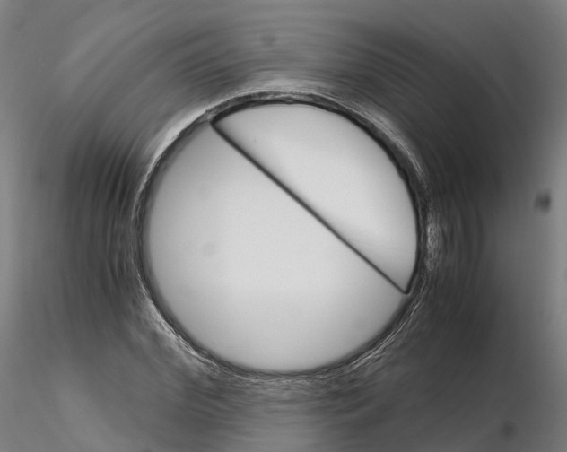 X0000115700972200912031501