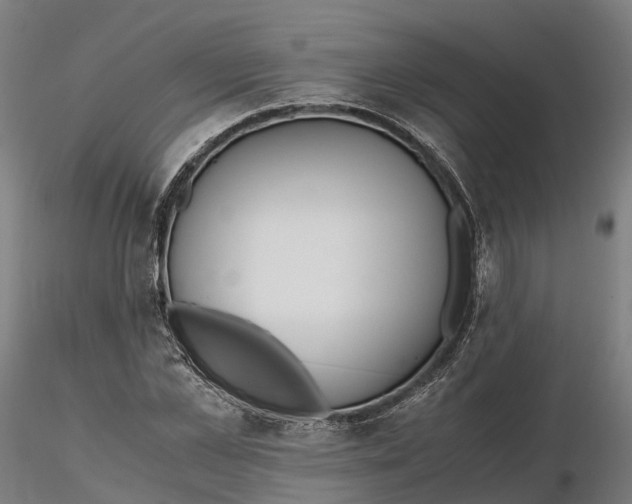 X0000115700973200912031501