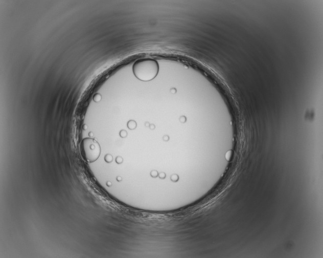 X0000115700974200912031501