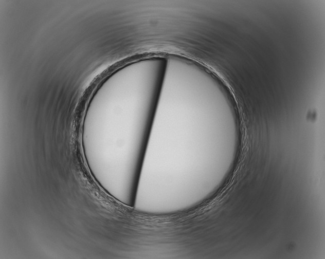 X0000115700975200912031501