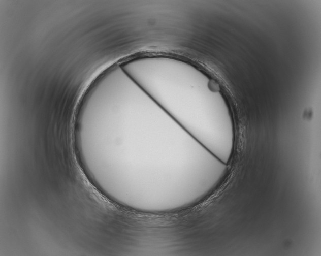 X0000115700976200912031501