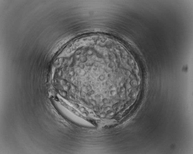 X0000115700977200912031501