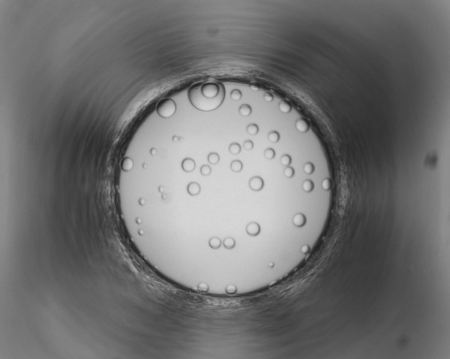 X0000115700978200912031501