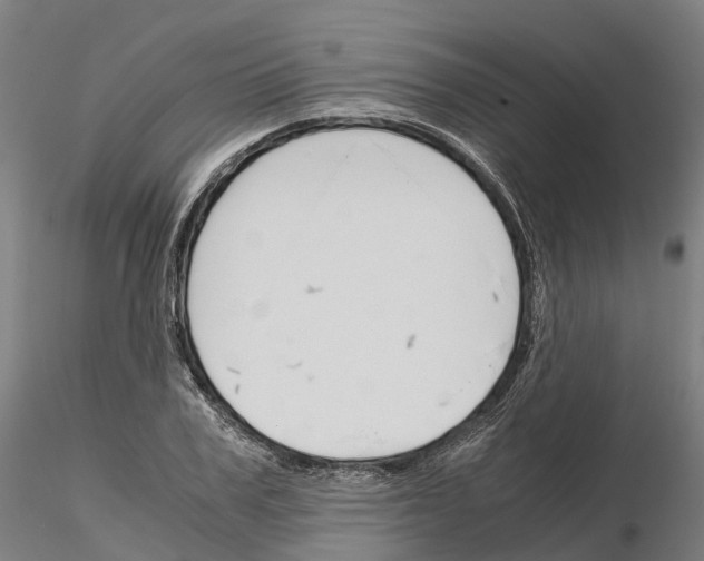 X0000115700979200912031501