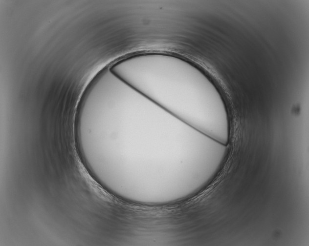 X0000115700980200912031501