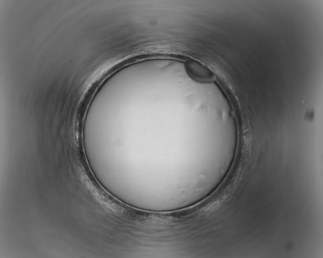 X0000115700981200912031501