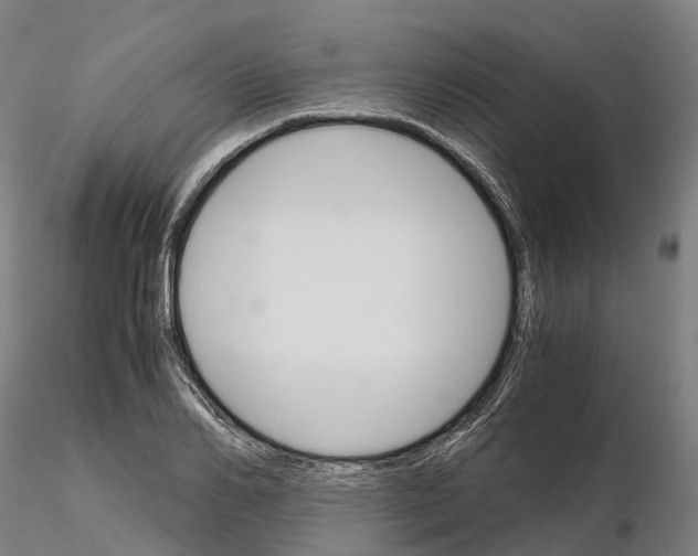 X0000115700982200912031501