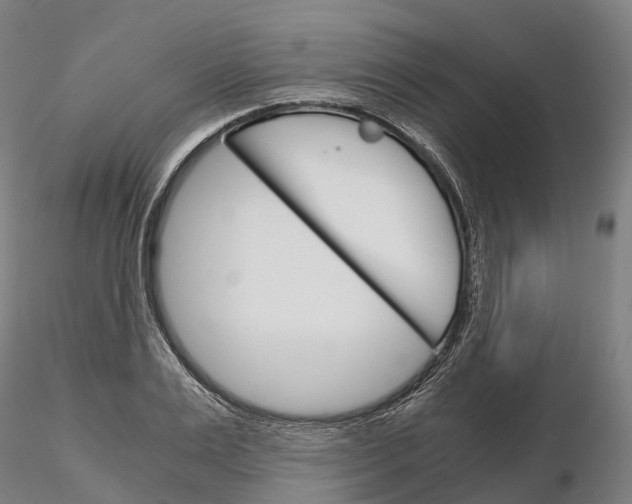 X0000115700983200912031501