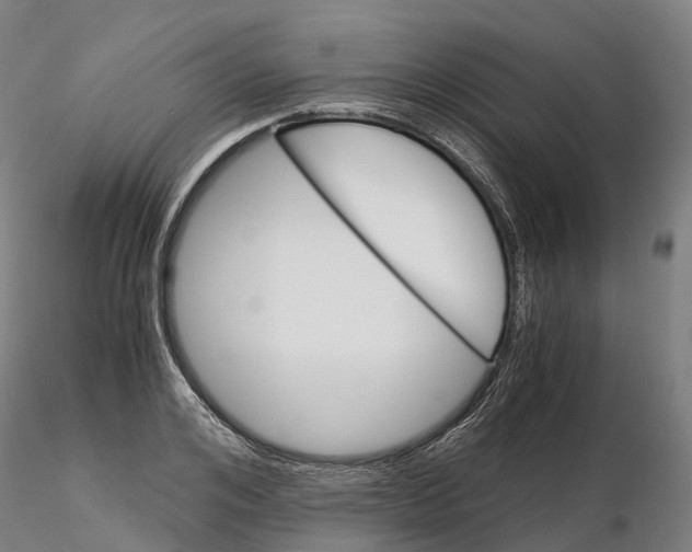 X0000115700984200912031501