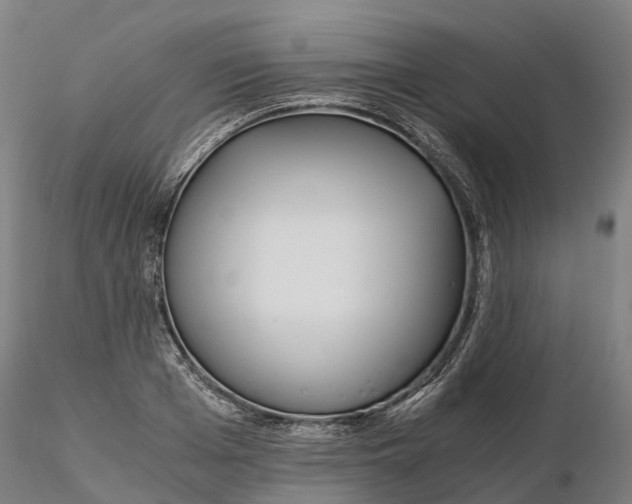 X0000115700985200912031501