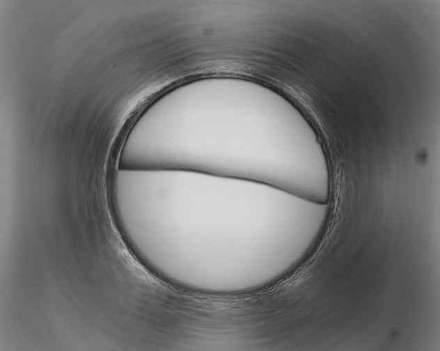 X0000115700987200912031501