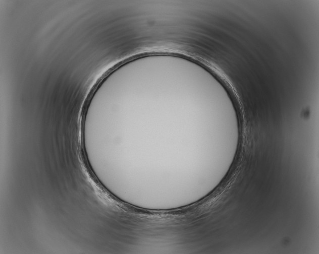 X0000115700988200912031501