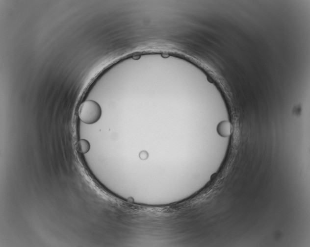 X0000115700990200912031501