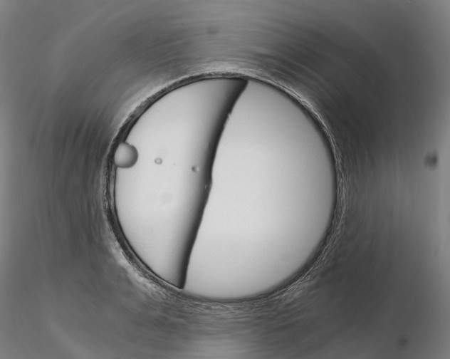 X0000115700991200912031501