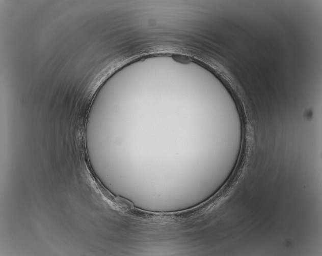 X0000115700993200912031501