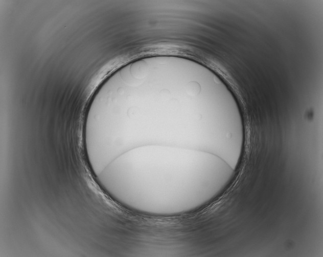 X0000115700994200912031501