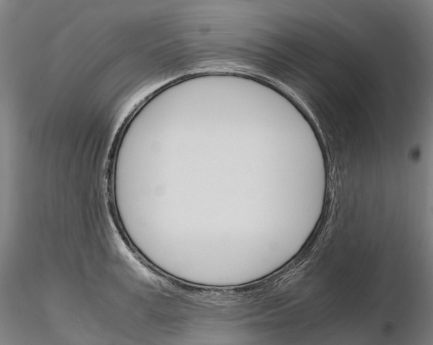 X0000115700995200912031501