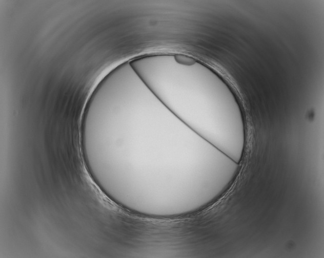 X0000115700996200912031501