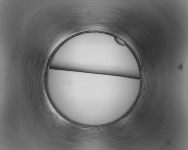 X0000115700999200912031501