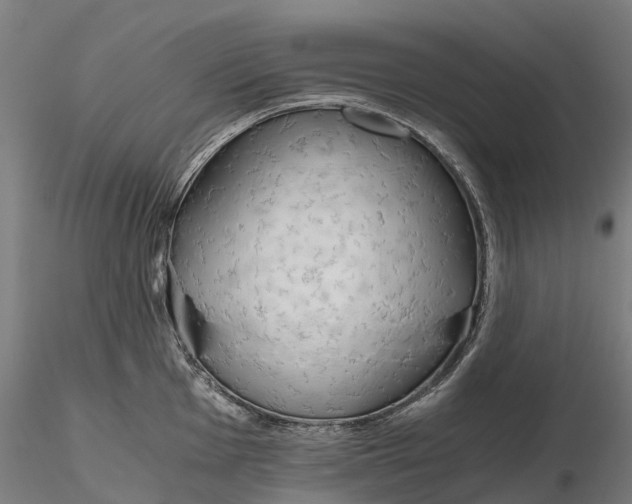 X0000115701001200912031501