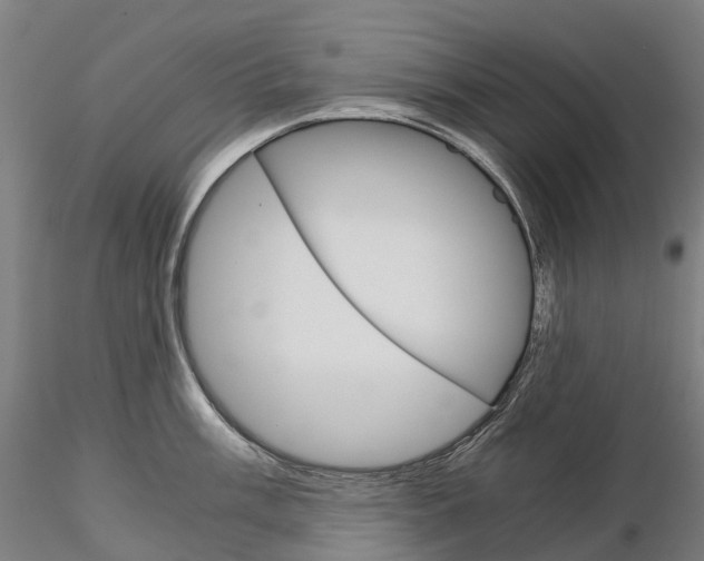 X0000115701003200912031501