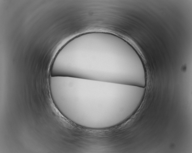 X0000115701004200912031501